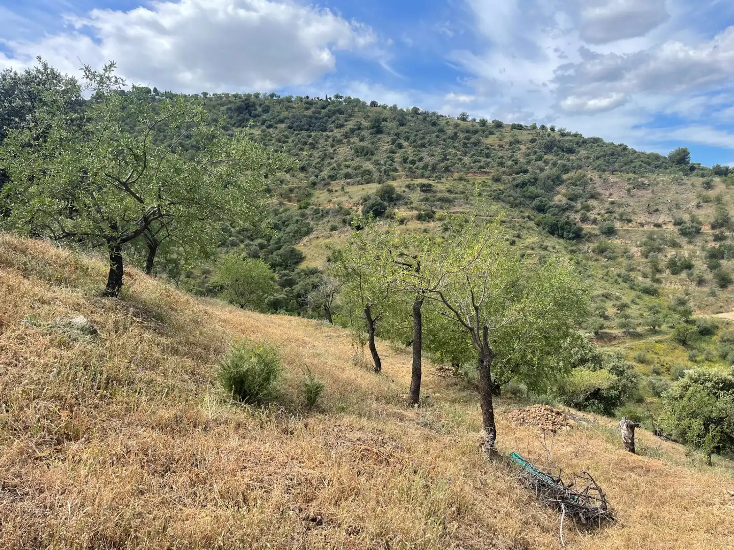 Terreno en venta en Guaro