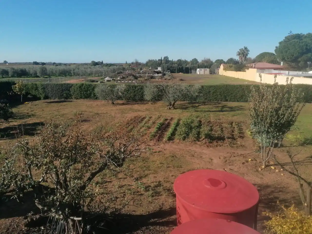 Chalet con jardín en venta en Urbanizacion Corzo 64, imagen 20