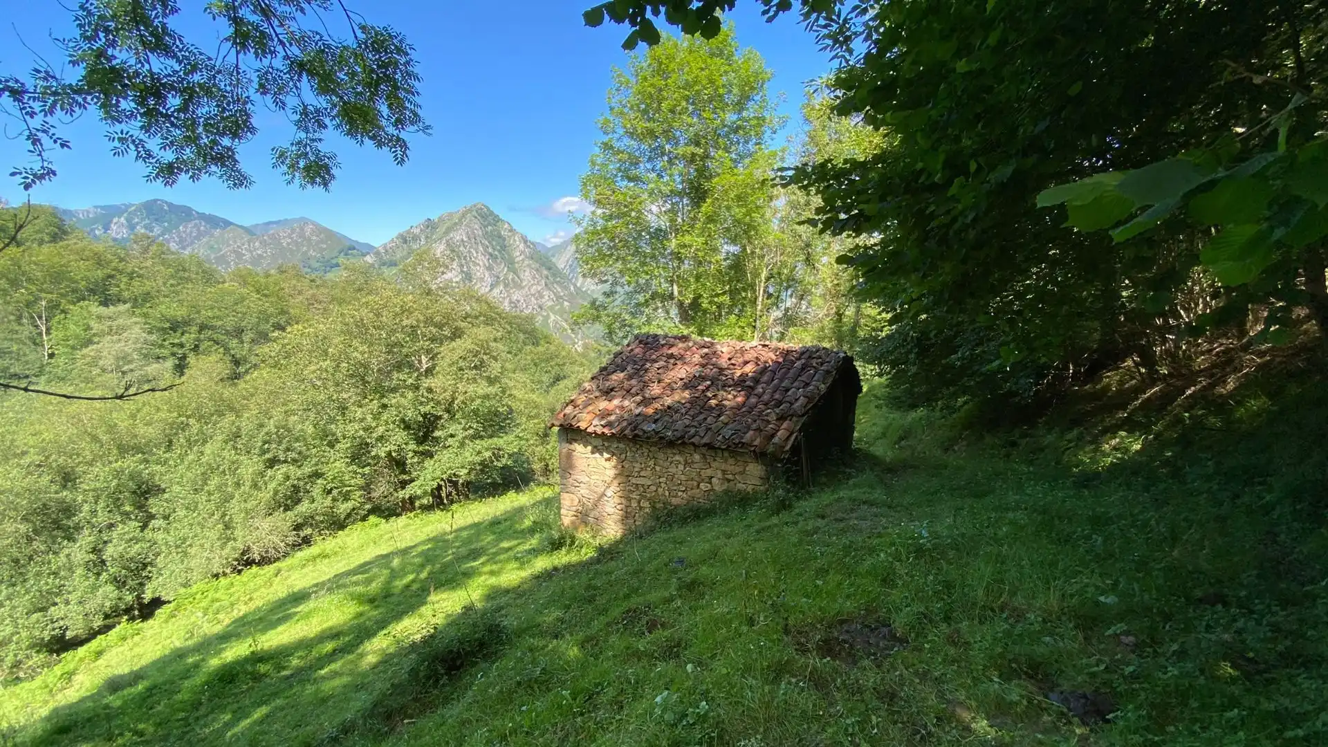 Terreno en venta en PRIESCA, Ponga