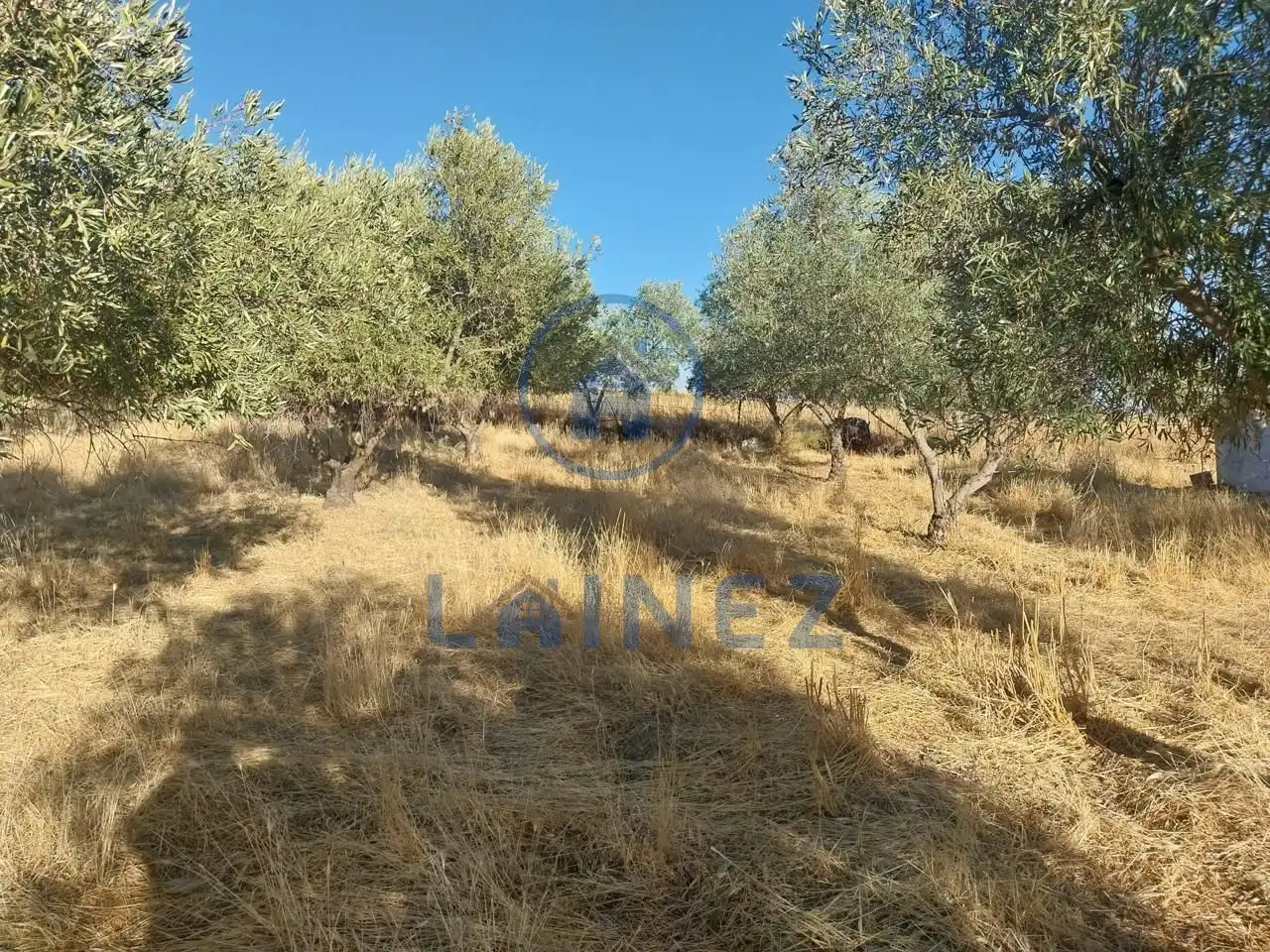 Nave industrial en venta en Peñarroya-Pueblonuevo