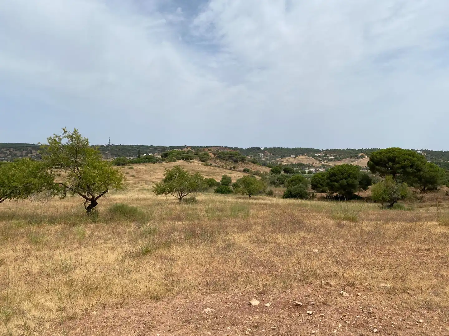 Terreni e lotti in vendita a Vía POLIGONO 15, PARCELA 83, VALDECERRO, imagen 6