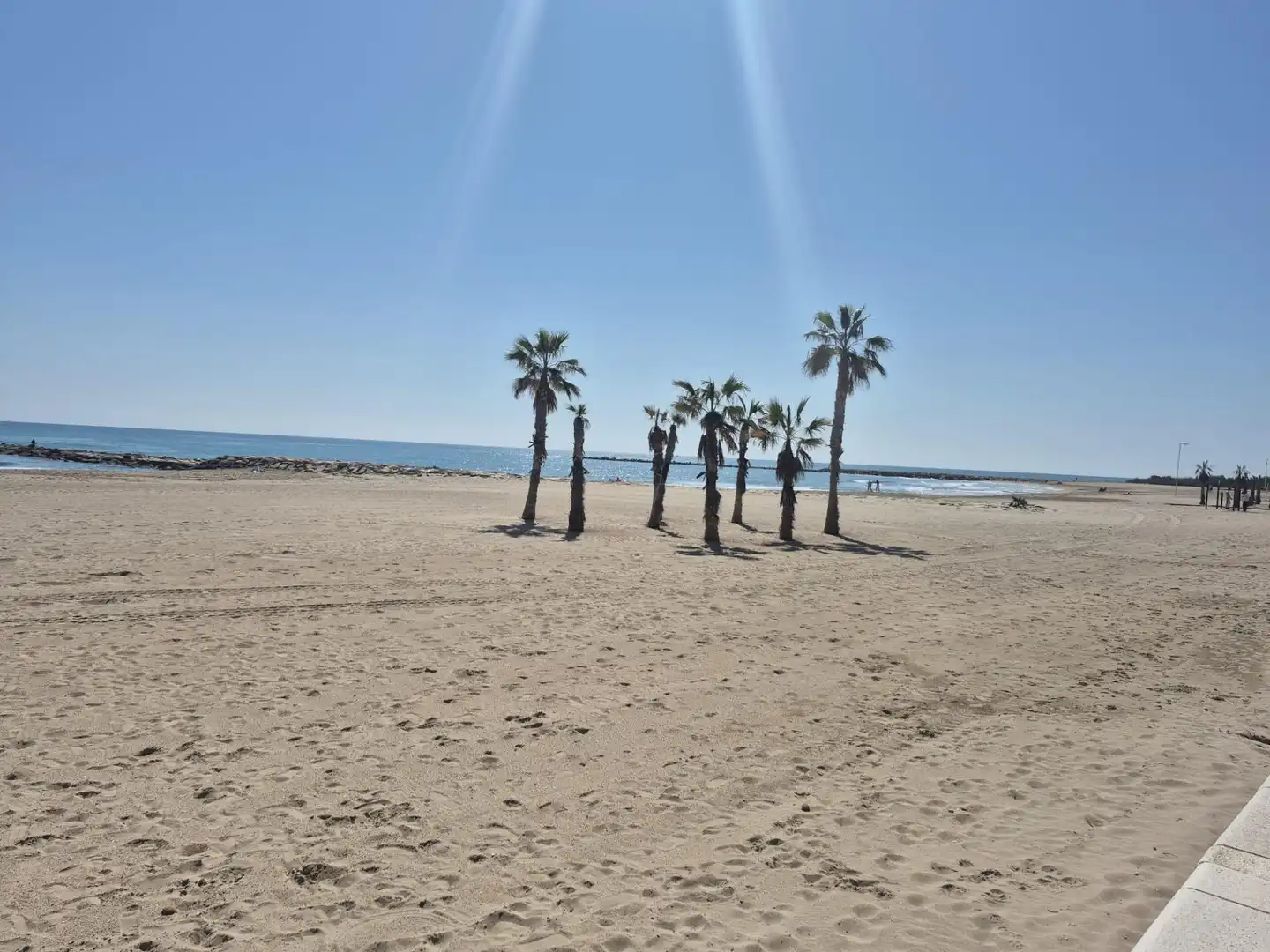 Pis de lloguer a Campello Playa