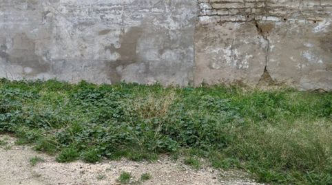 Solar en El Otro Lao, immagine 2