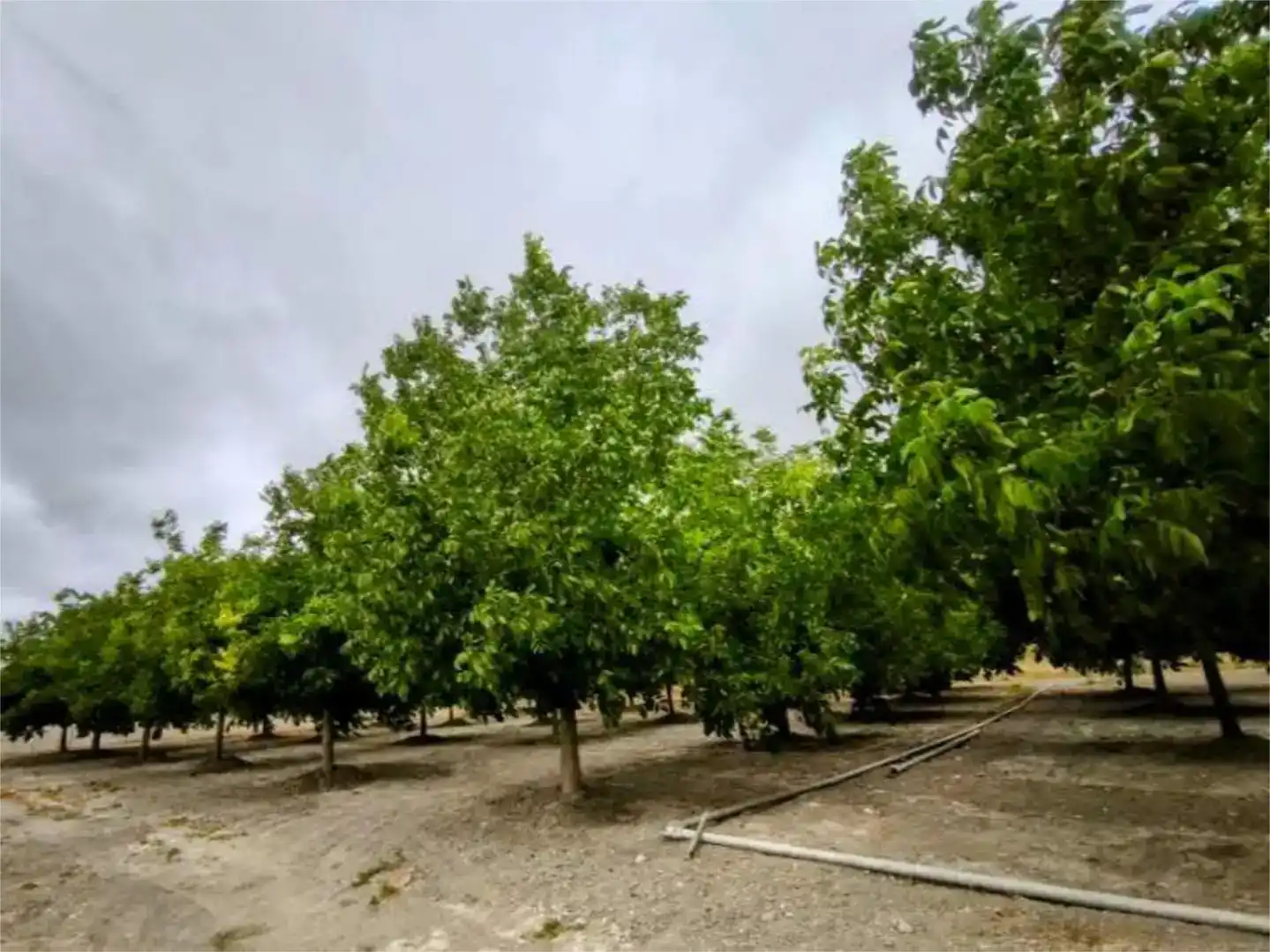 Finca rústica en venda en Valladolid Capital amb Aire condicionat, Piscina i Balcó