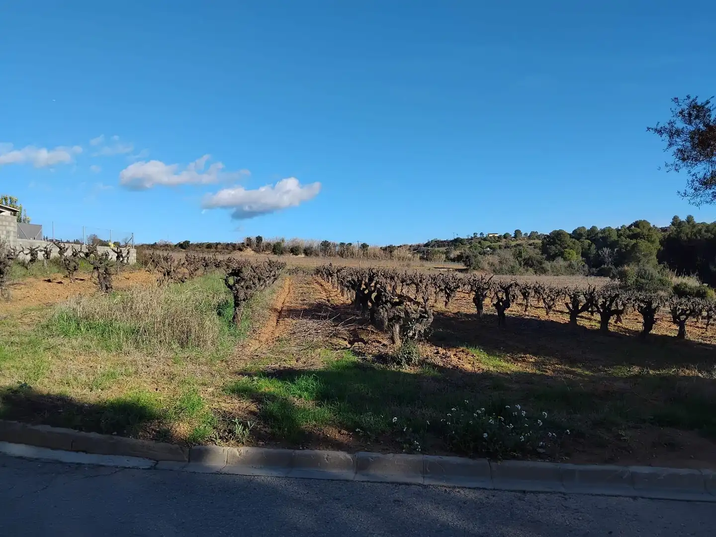 Residencial en venda a Sant Llorenç d'Hortons