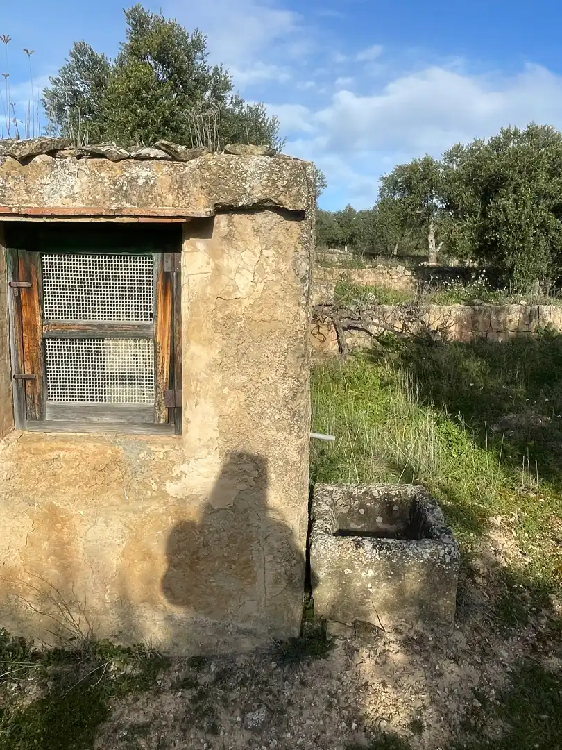 Rural land for sale in Cervià de Les Garrigues, imagen 8