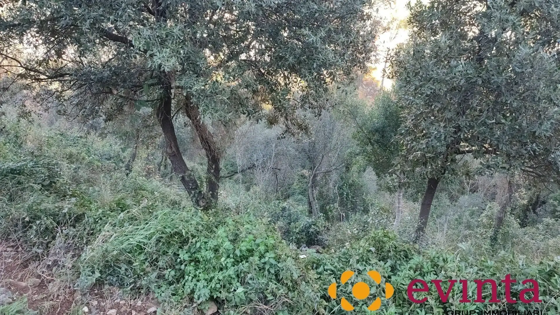 Lands and plots for sale in Vallirana, imagen 7