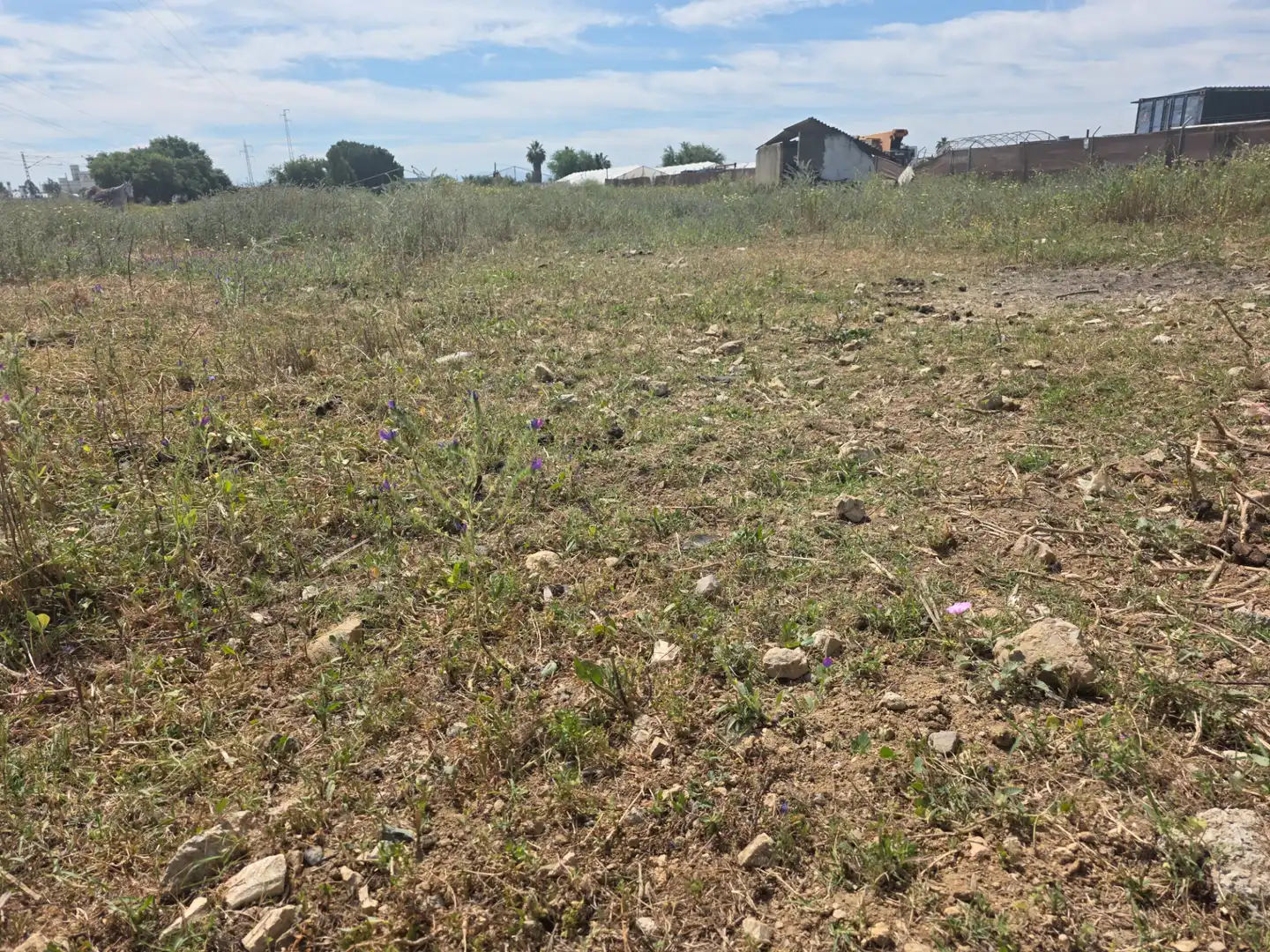Rural land for sale in Pedanías Norte, imagen 2