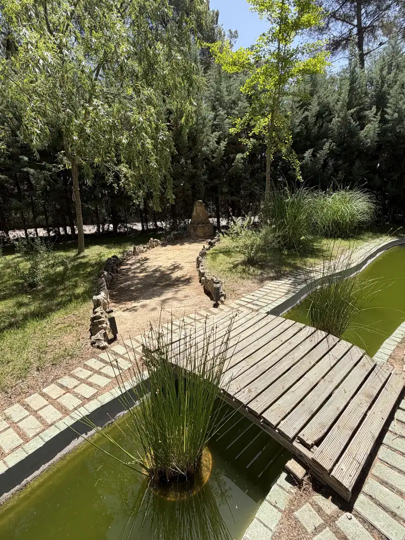 House with pool for sale in Pedanías - Extrarradio, imagen 36