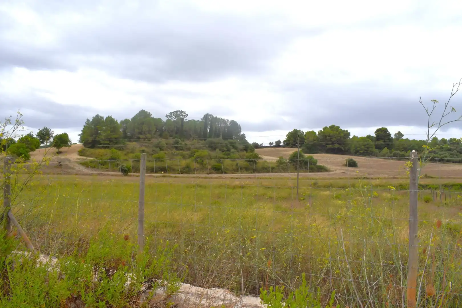 Residential land for sale in Santa Margalida Poble, imagen 16