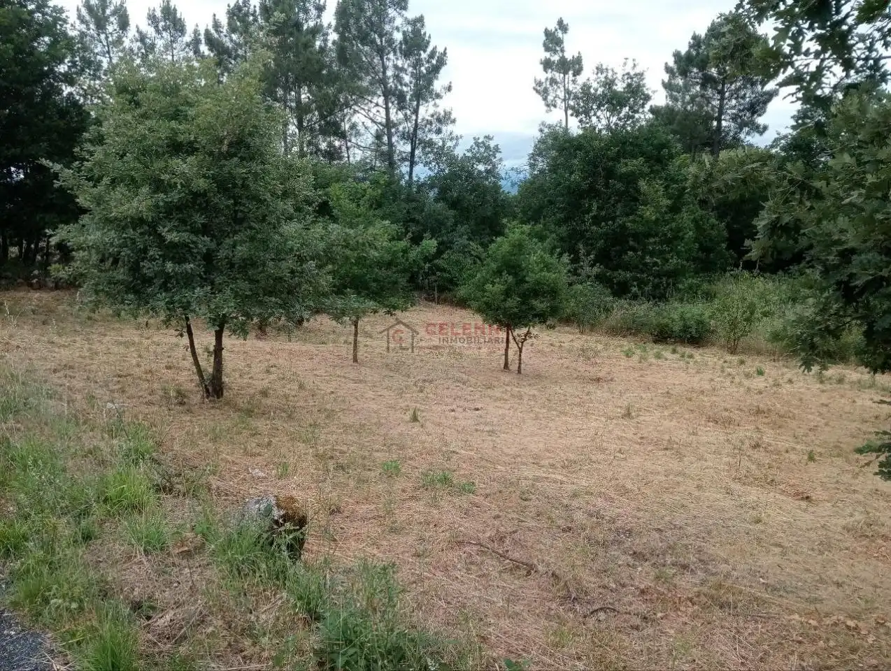Terreni e lotti in vendita a San Cibrao das Viñas, imagen 12