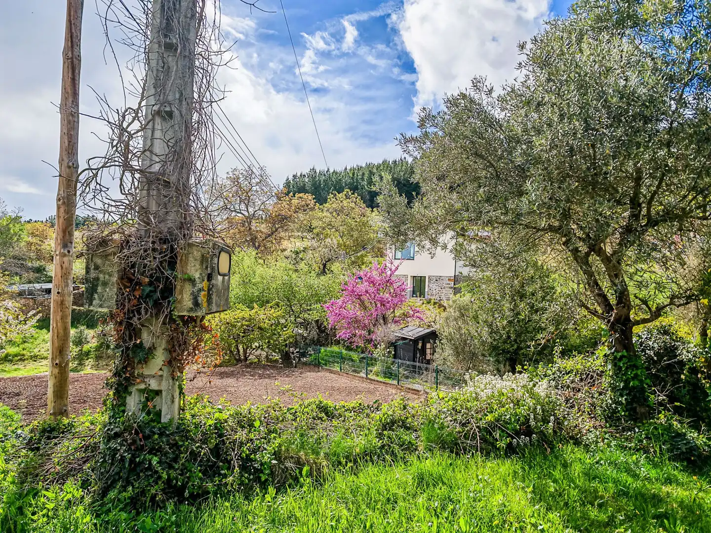Vista exterior de Casa o chalet en venta en Arganza con Calefacción