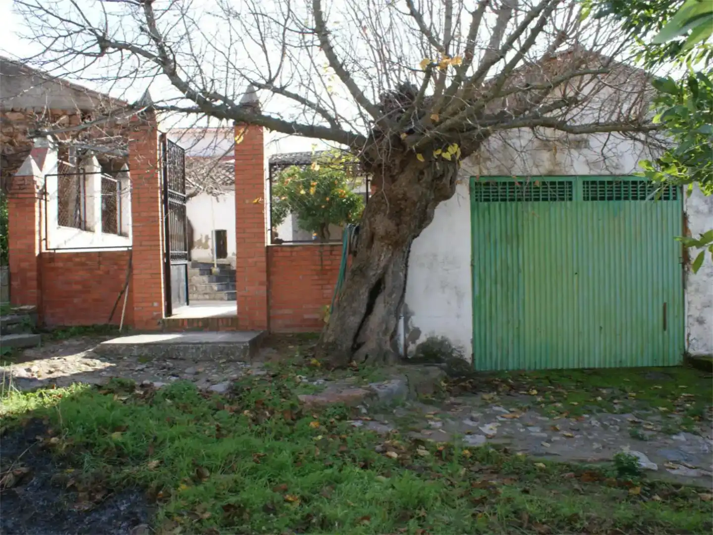 Vista exterior de Finca rústica en venda en Benquerencia de la Serena