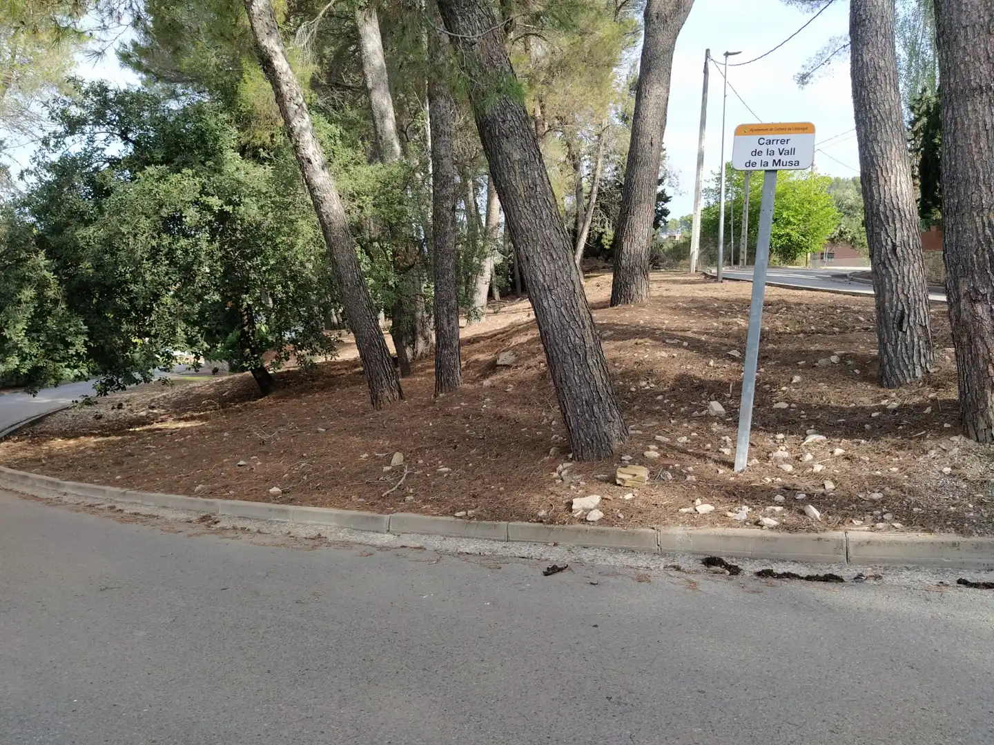 Terreny residencial en venda a Avinguda de la Mare de Déu de Lourdes 29, imagen 4