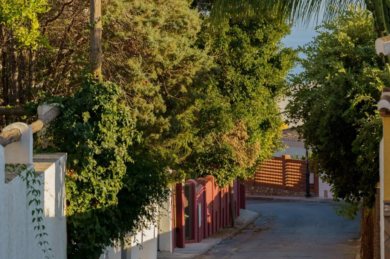 Villa mit Terrasse zum Verkauf in Calle Calle Naranjo, Monte de los Almendros, imagen 64