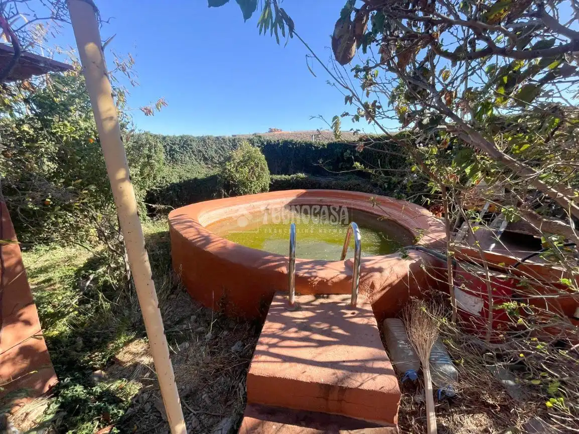 Piscina de Finca rústica en venta en Ingenio