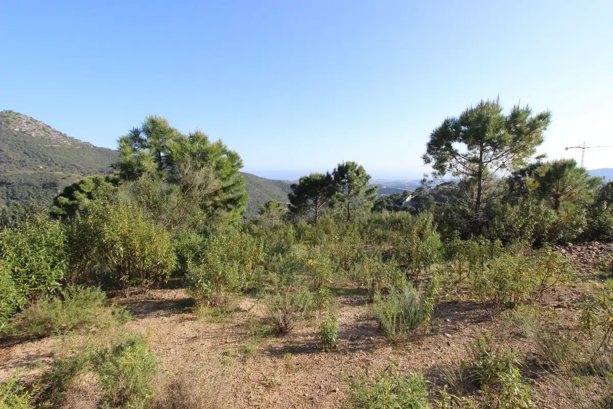 Terrenys i solars en venda a Benahavís pueblo