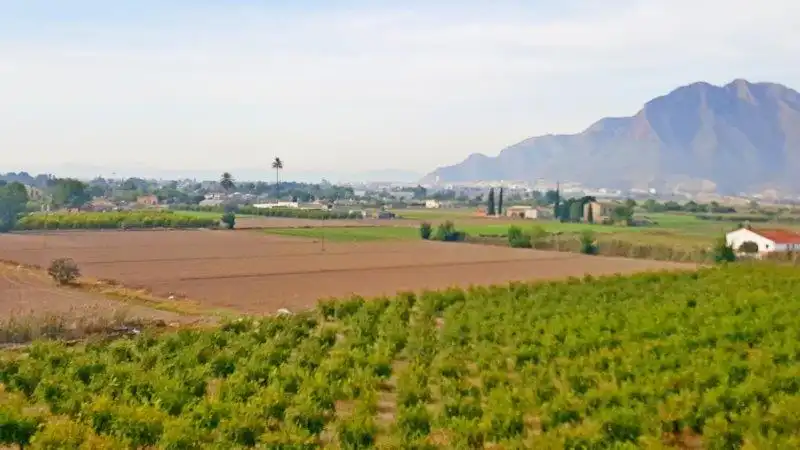 Landhaus zum Verkauf in Callosa de Segura, imagen 45