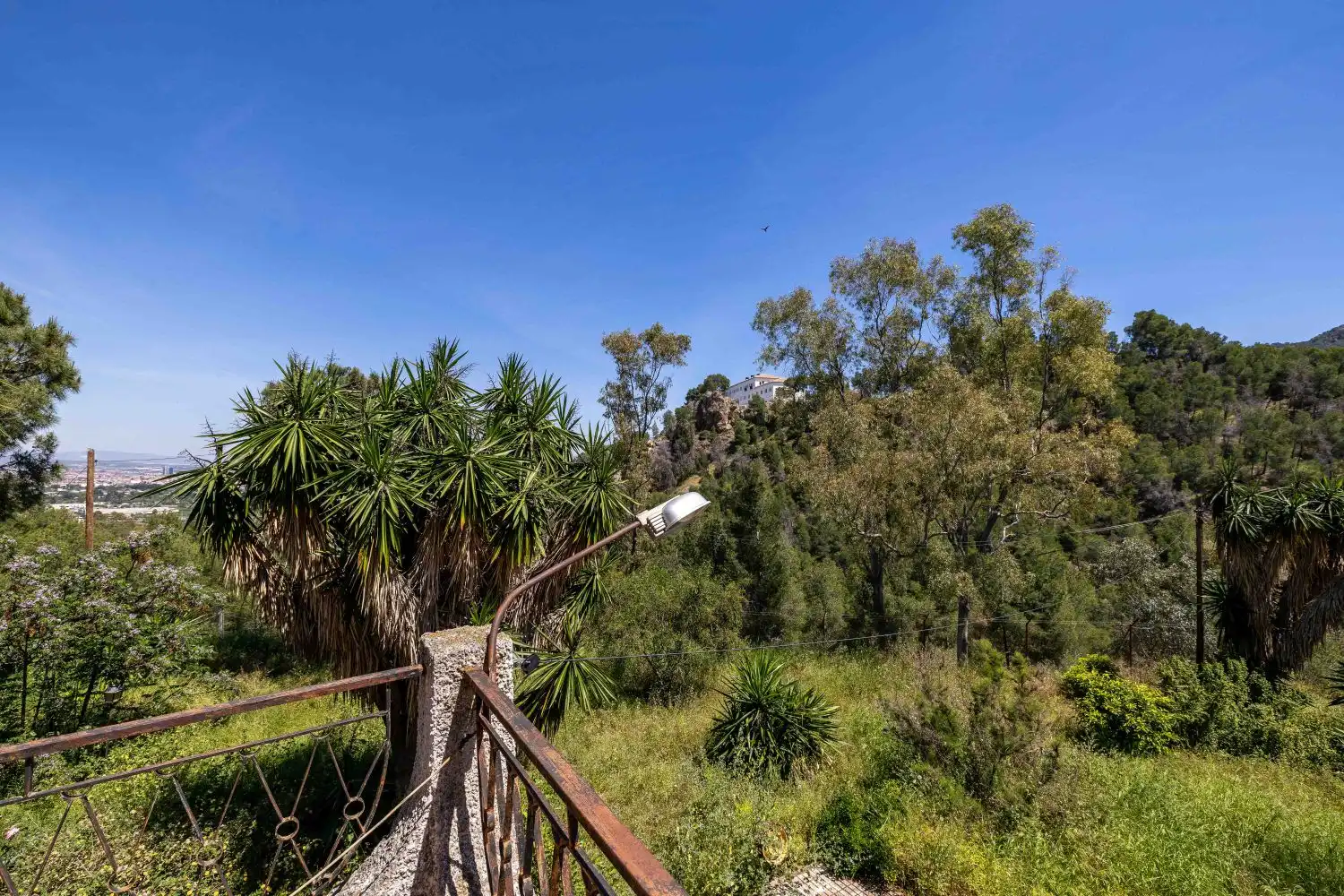Jardí de Residencial en venda en Murcia