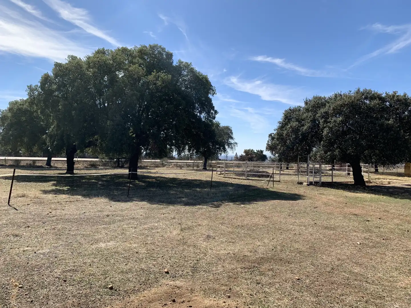 Land for sale in Calle Hernán Cortés, 20, Jaraicejo