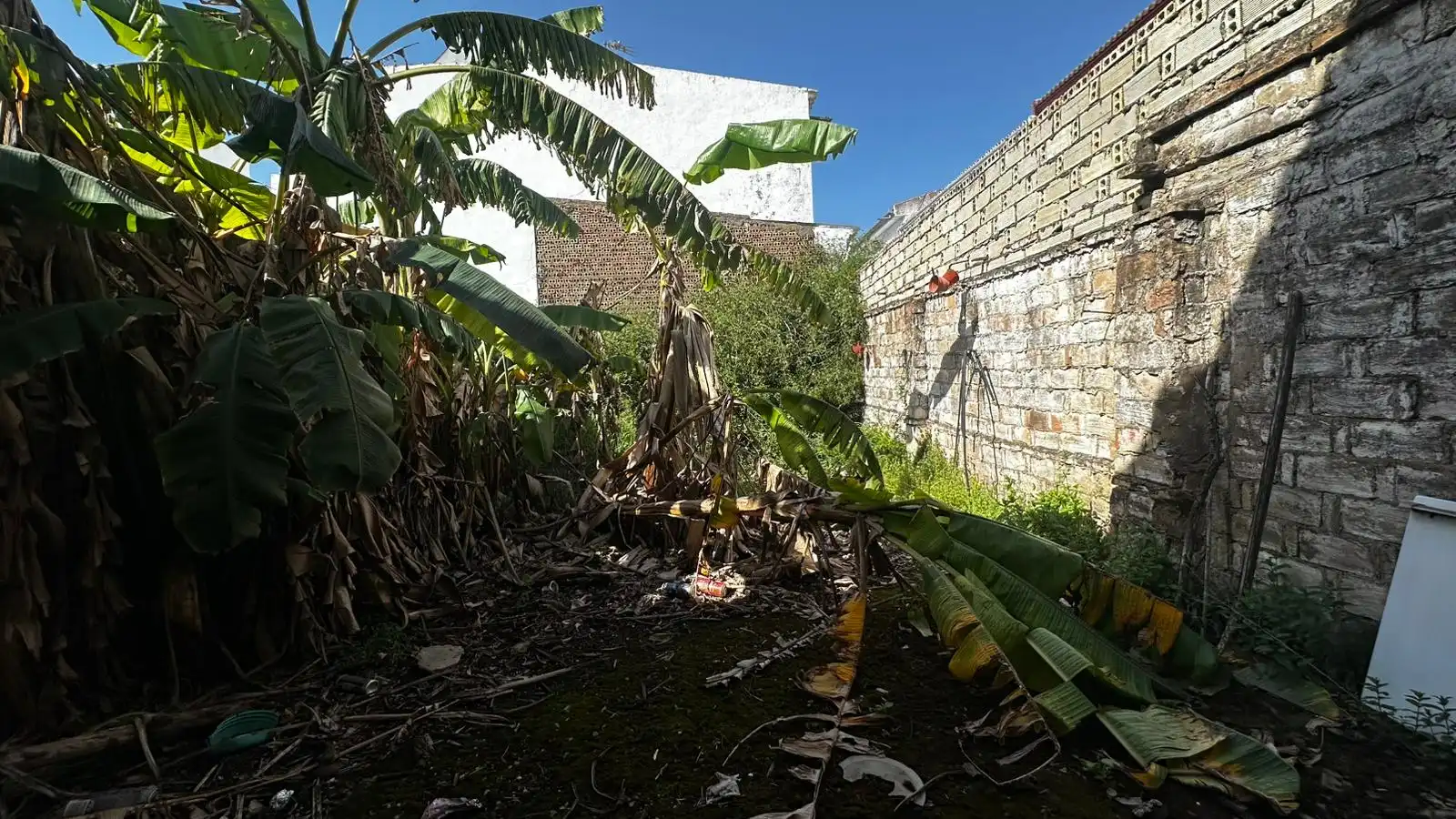 Casa o xalet en venda a Pilas