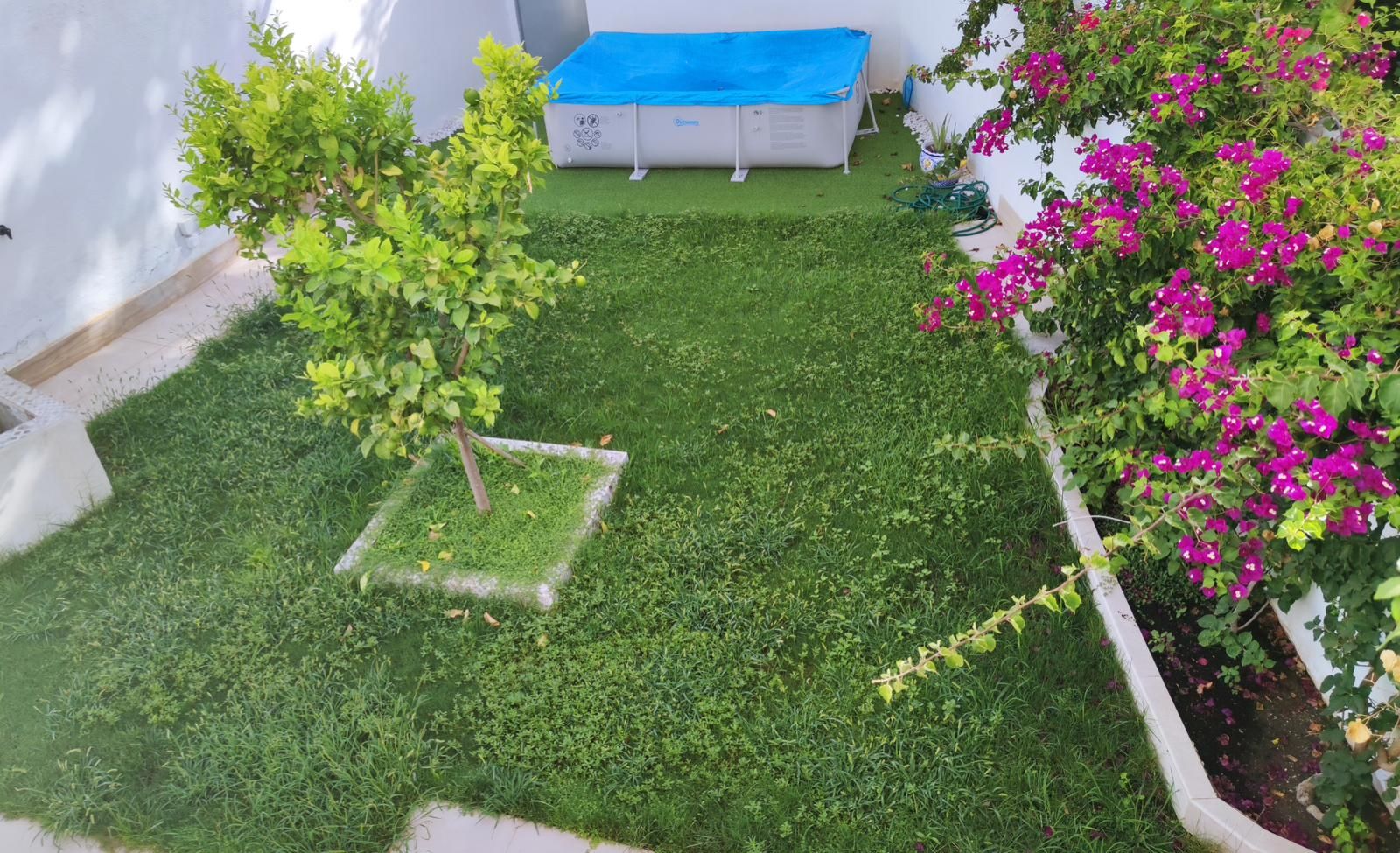 Jardí de Finca rústica en venda en Sanlúcar la Mayor