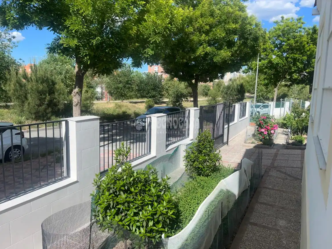 Vista exterior de Casa o chalet en venta en Madrid con Jardín privado y Alarma