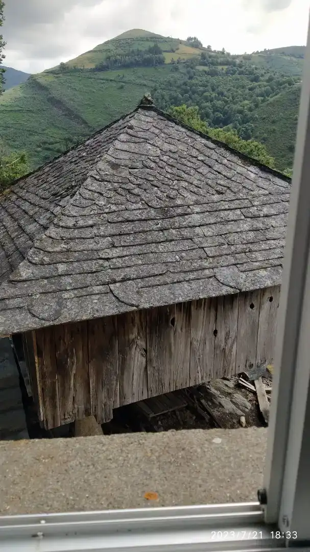 Vista exterior de Finca rústica en venda en Cervantes