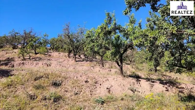 Rural land for sale in Felix, imagen 11