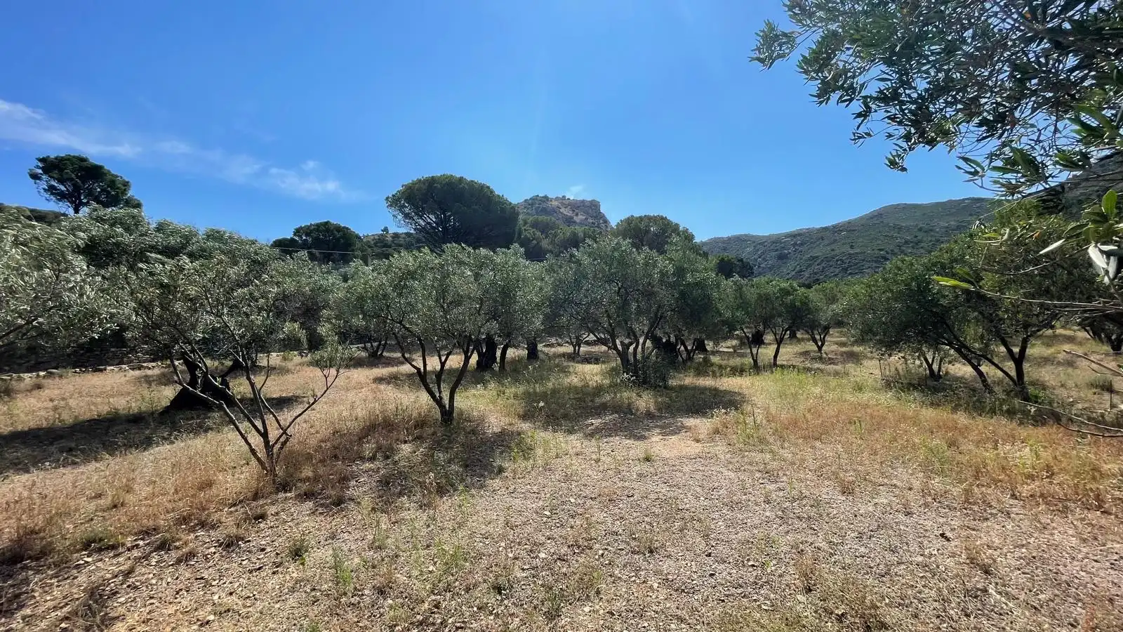 Finca rústica en venta en Vilajuïga con Terraza, Trastero y Balcón