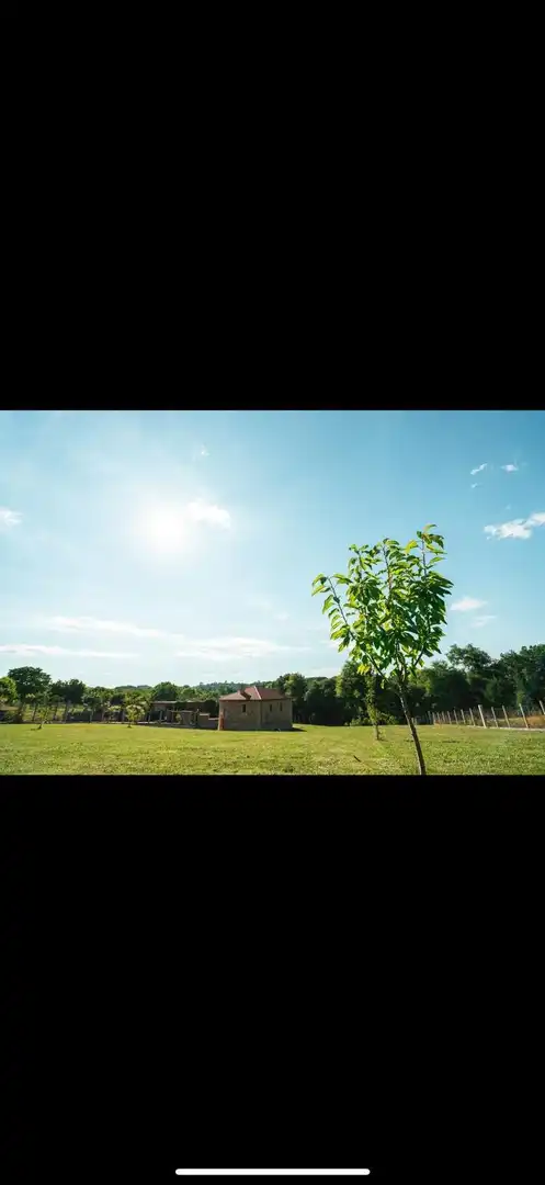 Jardí de Casa o xalet en venda en A Merca   amb Jardí privat, Terrassa i Moblat