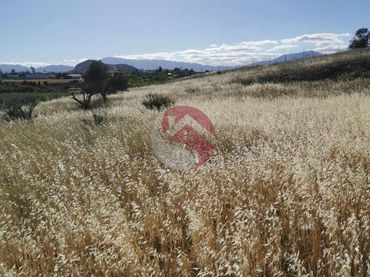 Terreno rustico in vendita a El Cigarral - Dehesa - Borrajo