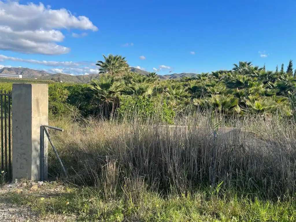 Terreno rustico in vendita a Casalpalma - Fahala, imagen 3