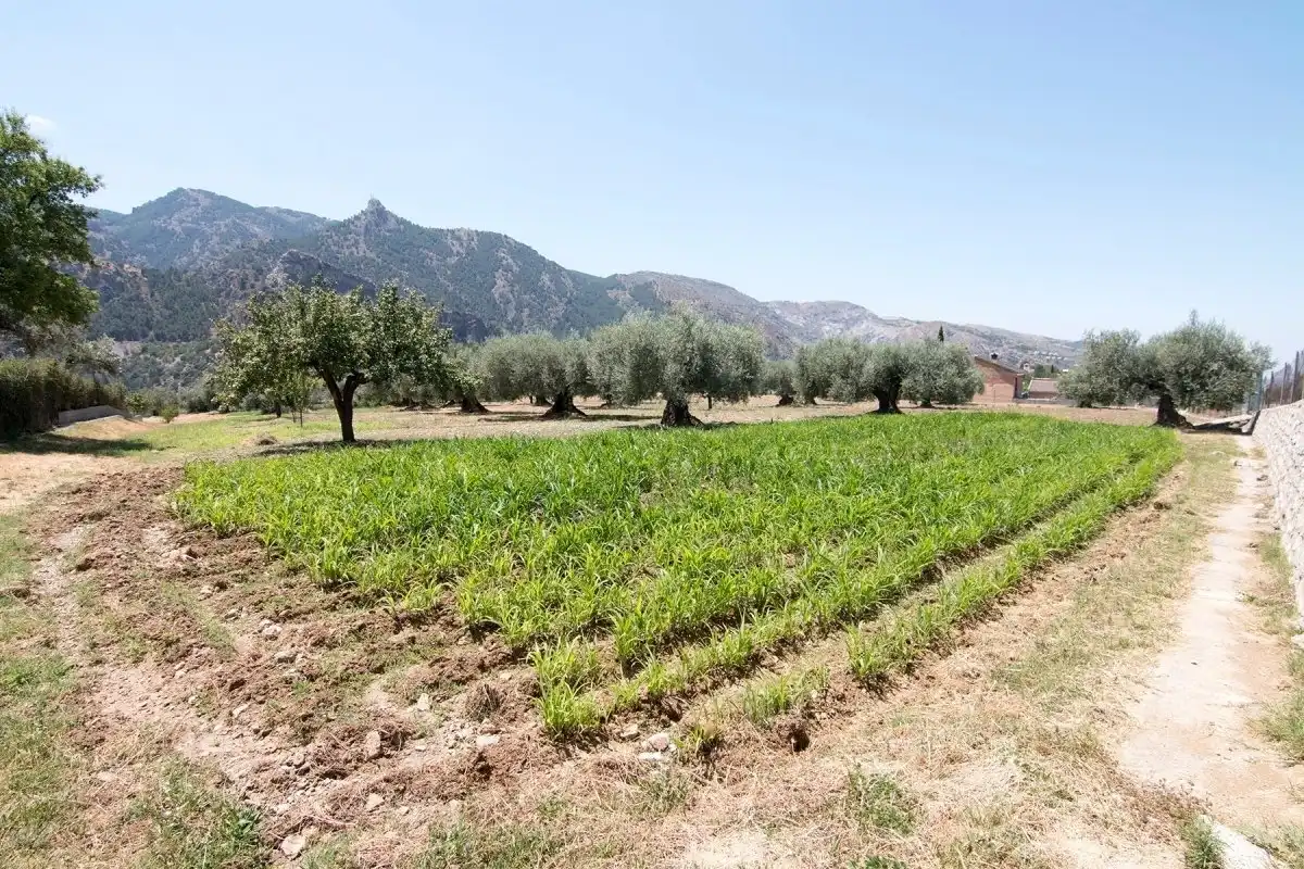 Finca rústica en venta en Güéjar Sierra con Jardín privado, Terraza y Piscina