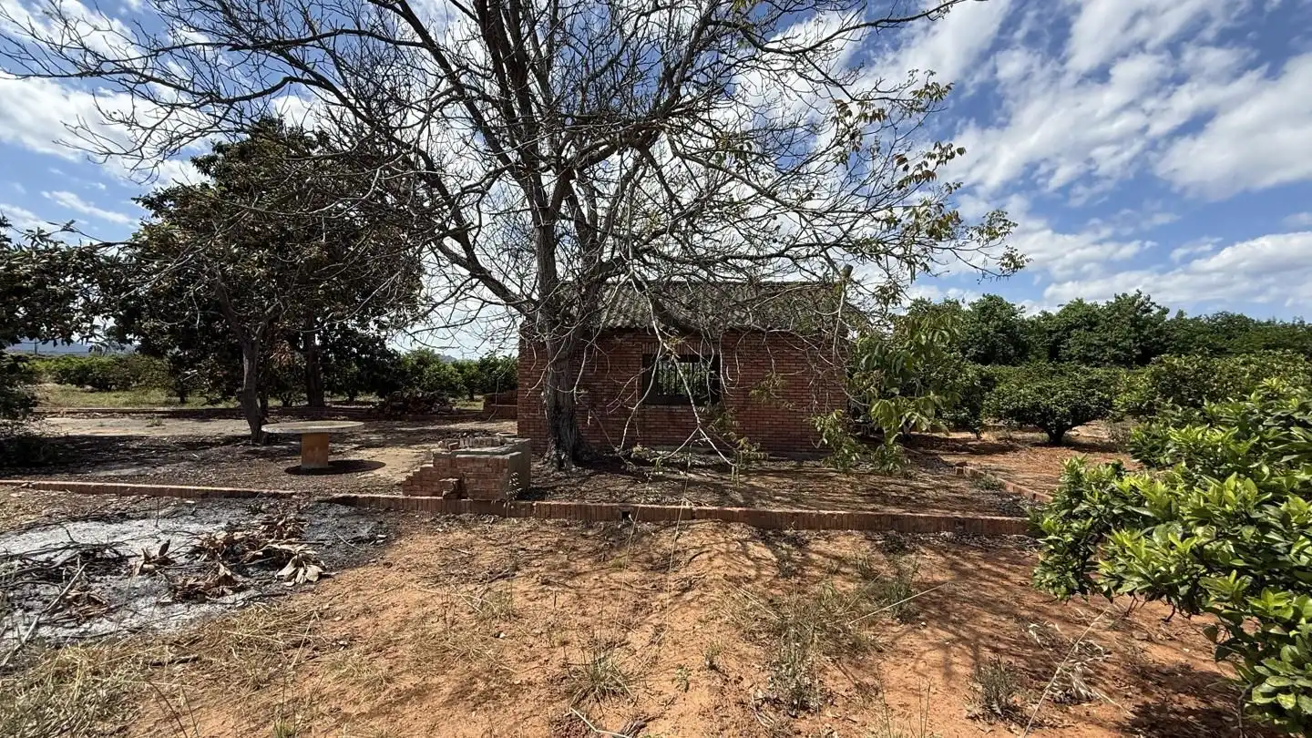 Exterior view of Land for sale in Rafelguaraf