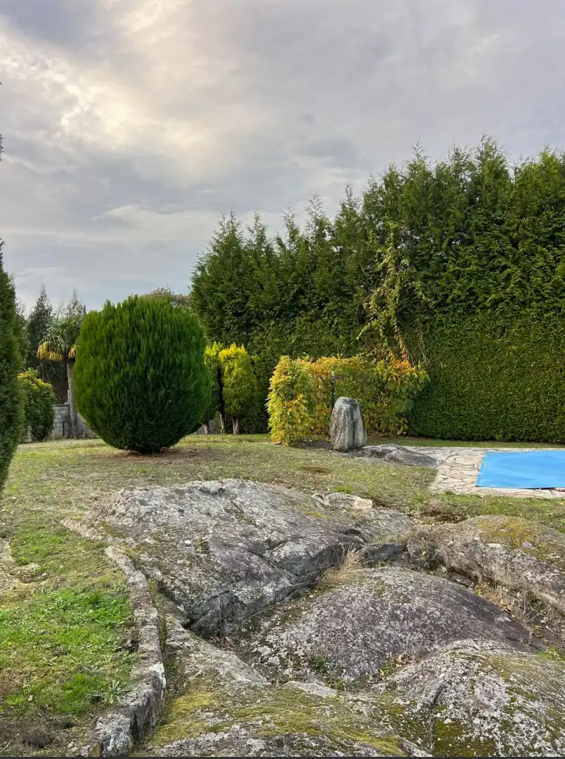 Jardí de Casa o xalet en venda en Lugo amb Terrassa