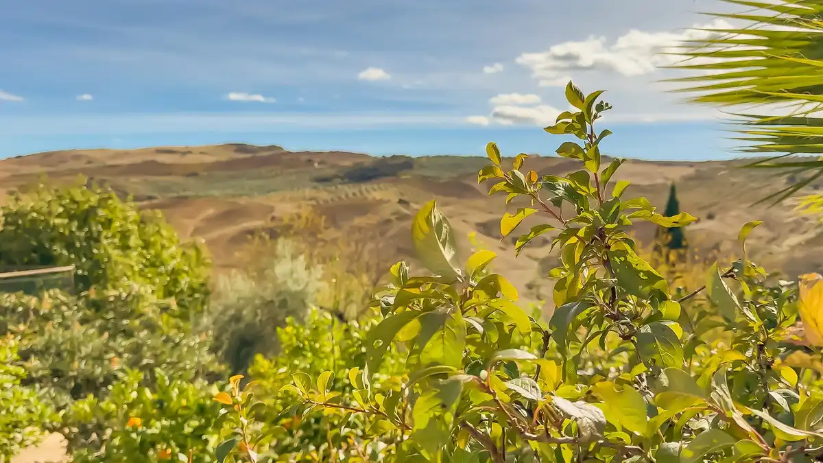 Vista exterior de Finca rústica en venta en Villanueva de la Concepción con Jardín privado, Terraza y Trastero