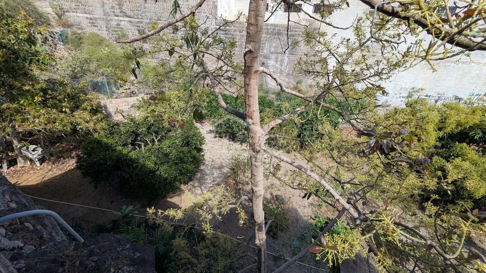 Jardín de Casa adosada en venta en San Miguel de Abona con Jardín privado, Trastero y Amueblado