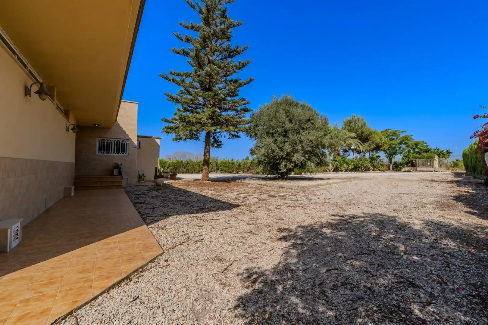 Villa con piscina in vendita a Calle C. Cam. de Catral 205, imagen 41