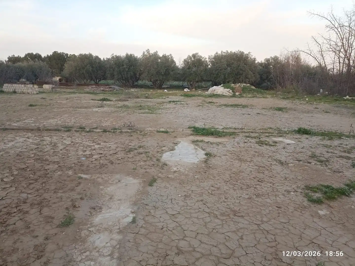 Land for sale in Totana