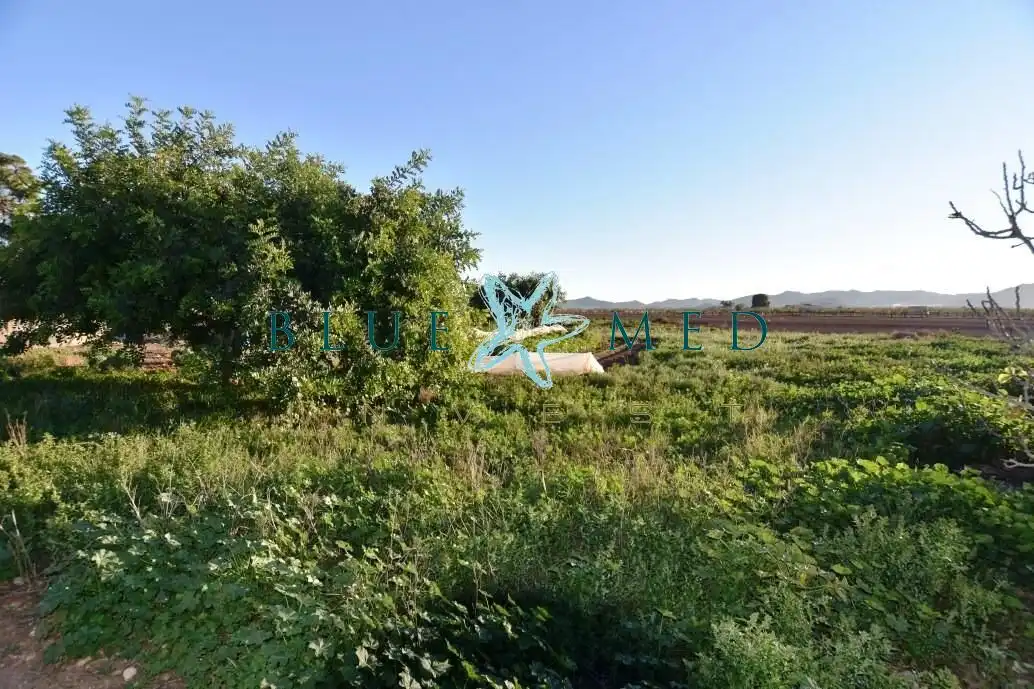 Finca rústica en venta en Fuente Álamo de Murcia con Jardín privado, Terraza y Trastero