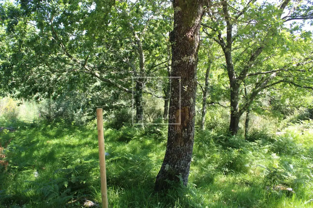 Xalet amb jardí en venda a Tomiño, imagen 27