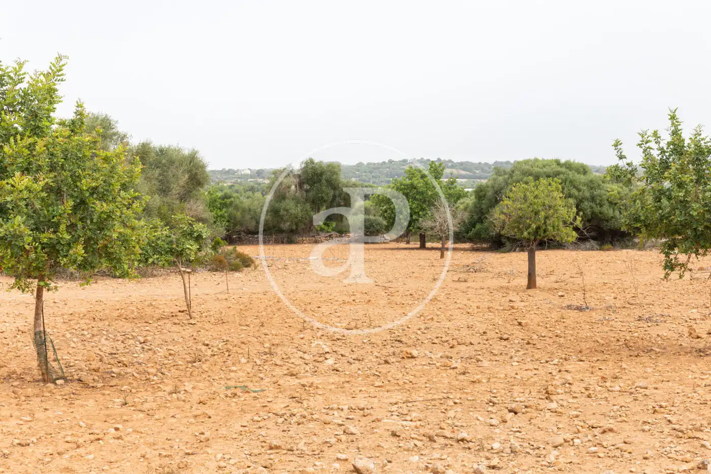 Terreno residenziale in vendita a Cami de.'s Presos, imagen 16