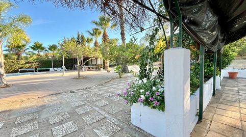Foto 5 de Finca rústica en venda a Camino Camino de Ayamonte, Ayamonte ciudad, Ayamonte