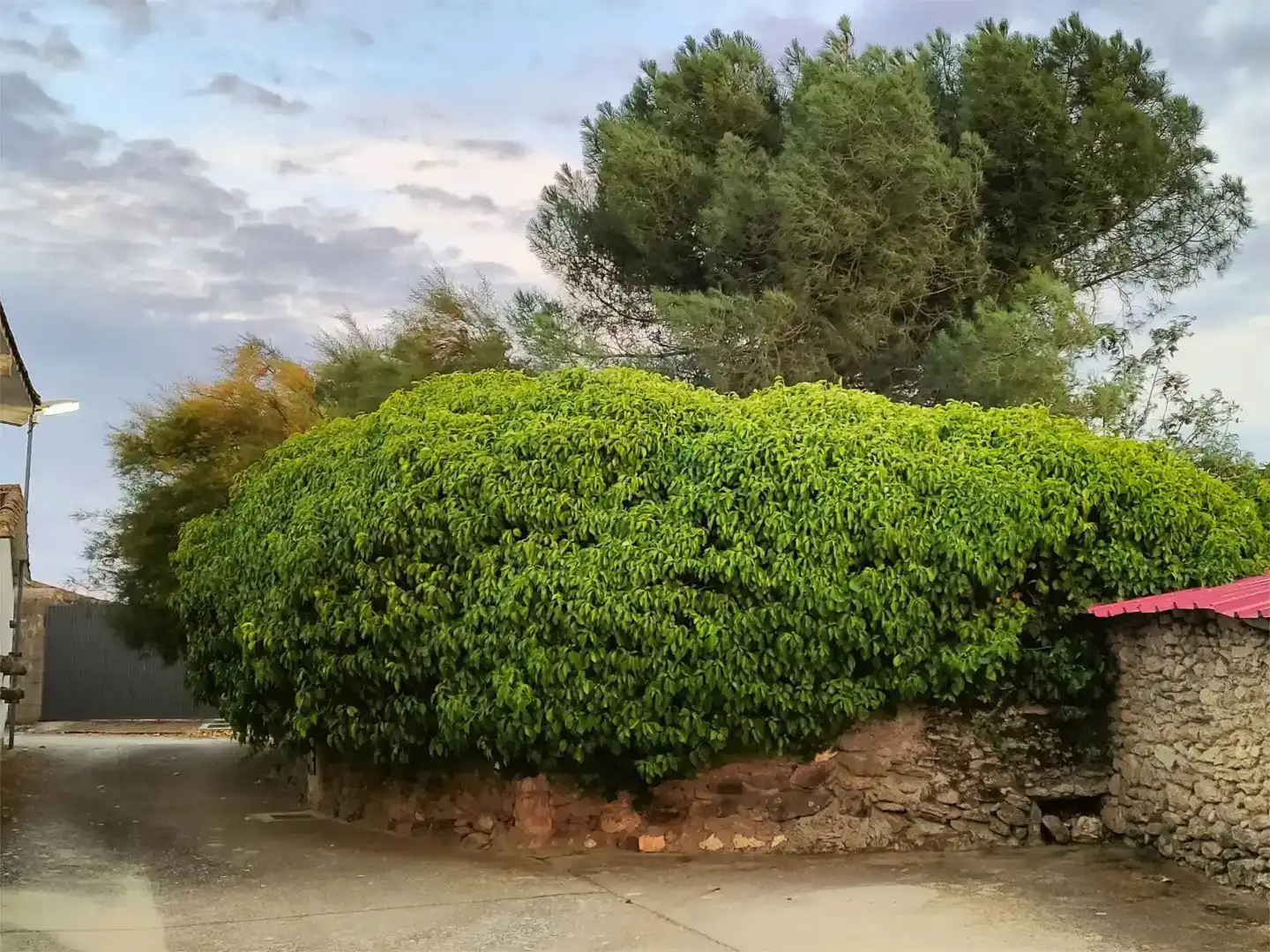 Jardín de Piso en venta en Doñinos de Ledesma con Jardín privado y Trastero