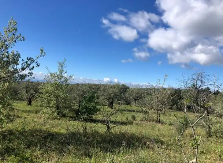 Terreni e lotti in vendita a Cuacos de Yuste, imagen 6