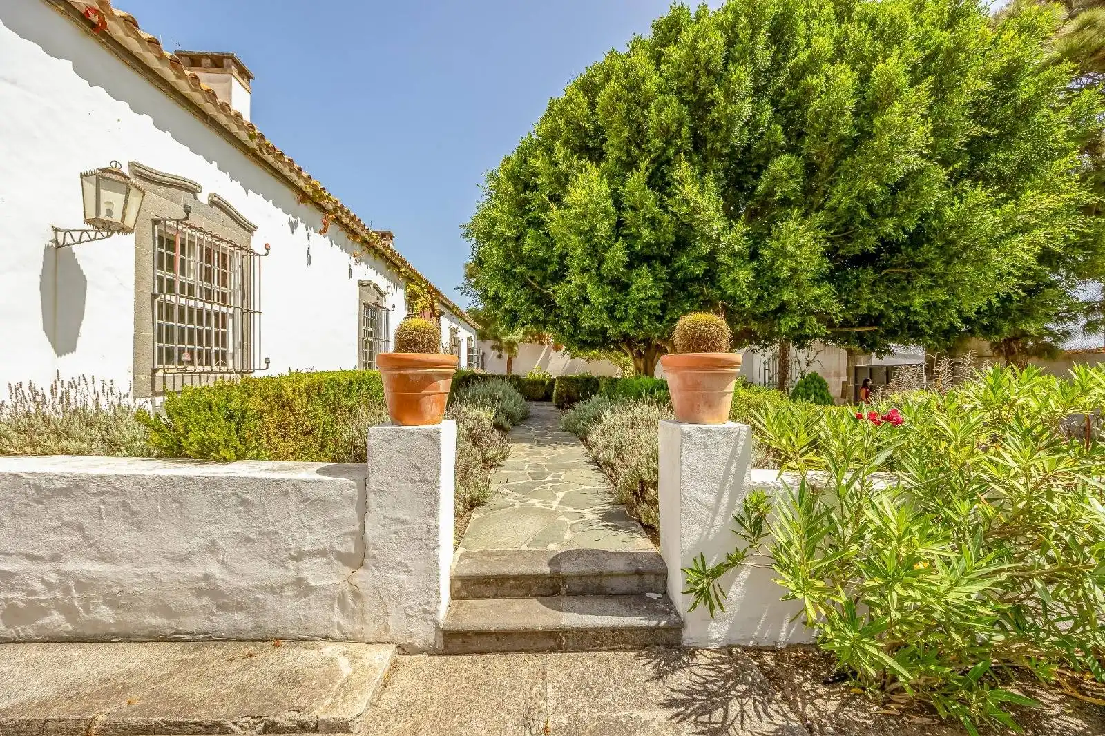 Xalet amb jardí en venda a Calle REAL DE COELLO, imagen 51