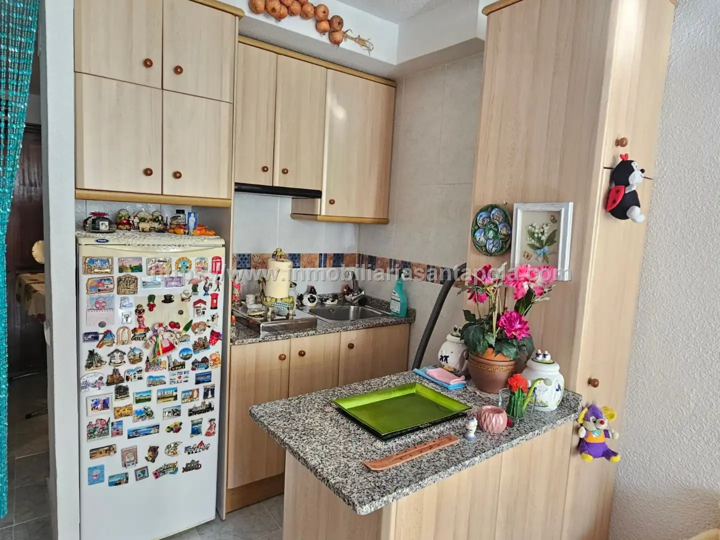 Cocina de Estudio en venta en Santa Pola con Terraza, Piscina y Amueblado