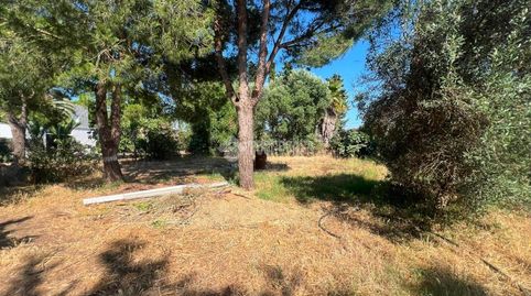 Foto 3 de Terreno en venta en Roche, Conil de la Frontera