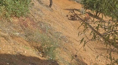 Foto 4 de Finca rústica en venta en Calle Carril, Almogía, Málaga